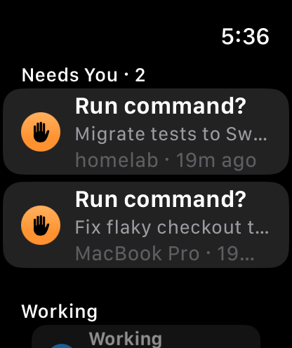 Sesh on Apple Watch: Needs You lists two approvals, then the sessions at work